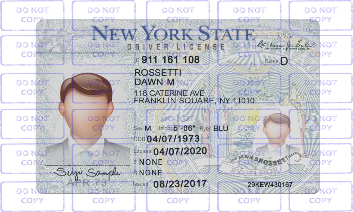 New York Driver License Template – EDIT DL